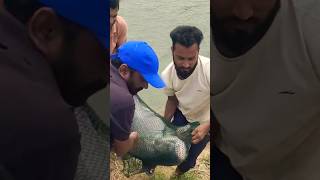 Katlo Ki Barish fishing katla [upl. by Onitrof]