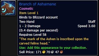 How To Loot The Reliquary of Ashamane Treasure Branch Of Ashamane Cosmetic [upl. by Ayinat]