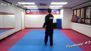 Taekwondo  Poomsae 3 Sam Jang Slowmotion amp Mirror [upl. by Noirrad241]