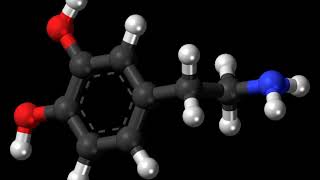 Dopamine  Wikipedia audio article [upl. by Acker]