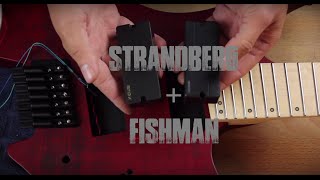 Guitar Pickups  Fishman Fluence into Strandberg Boden OS7 [upl. by Fiona759]