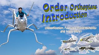 Insect Orders Part 3 Orthoptera A Introduction  By Dr Imran Khatri [upl. by Atsirak601]