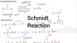 Schmidt Reaction I Amines I Particles Academy [upl. by Kenneth847]