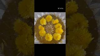 flower decoration at home decoration ytshorts [upl. by Essenaj992]