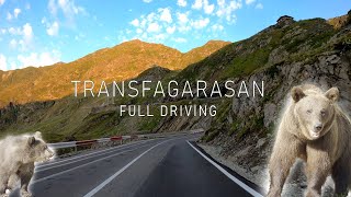 Transfagarasan Full Driving 90km Romania l The Greatest Driving Road in the World Bears 2024 4K [upl. by Nosreh970]