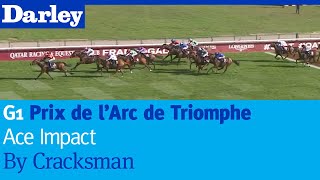 Ace Impact by Cracksman wins the G1 Prix de lArc de Triomphe at Longchamp [upl. by Yblocaj142]