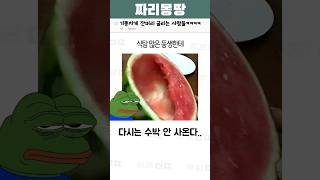 기똥차게 잔머리 굴리는 사람들ㅋㅋㅋㅋ [upl. by Todd]