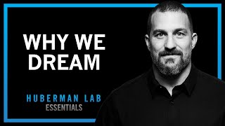 Understand and Use Dreams to Learn and Forget  Huberman Lab Essentials [upl. by Barry357]