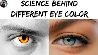 Science Behind Different Eye Color  Tamil  Chemist Arun [upl. by Ahsitnauq959]