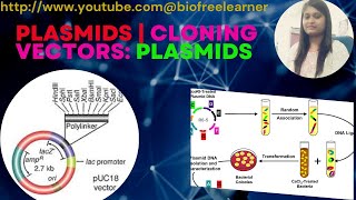 Plasmid  Cloning Vector  Features of Plasmid [upl. by Jolie]