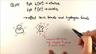 AS Biology  Factors affecting enzyme activity OCR A Chapter 42 [upl. by Kurman]