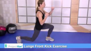 Lunge Front Kick Exercise [upl. by Aaron]