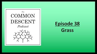 Episode 38  Grass [upl. by Nellek]