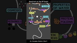 Amoeba Sisters AP Bio Test Pep Talk apbio apbiology [upl. by Amaral]