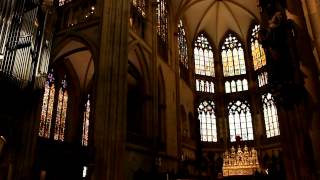 organ in Kathedrale St Peter Regensburg Germany [upl. by Ailemrac95]