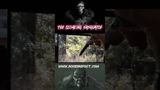 The Cloaking Sasquatch [upl. by Cherri459]