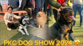 PKC All Breed Dog Show in DHA Lahore 2024 Cacib Dog Show [upl. by Ahseinet]