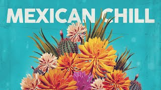 Mexican Chill 🌵 Cool Music 🌵 [upl. by Notxam]