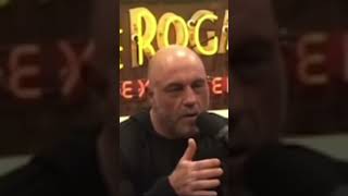 John Fetterman ‘Mass Amnesty’ Quote at Joe Rogan Interview shorts [upl. by Nnylyar]