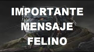 IMPORTANTE MENSAJE FELINO FELINOIDES DE AVYON LA URMAH Y SU MISIÓN EN LA TIERRA [upl. by Annohsed528]