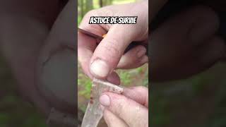 Astuce de survie en forêt forêt bushcraft randonnée voyage nature survie bivouac survie [upl. by Adnauqal]