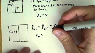 Resting Membrane potential and electrical properties of the cell [upl. by Denae567]