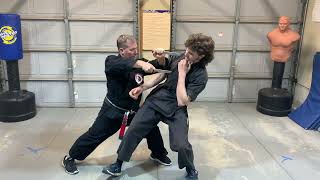 KENPO Thrusting Lance Long Form 8  Jamie Seabrook [upl. by Alysa]