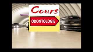 Cours dodontologie Science des dents ou comment devenir dentiste un métier de soin [upl. by Eak228]