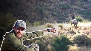 Chasing Arizona’s GIANT Muleys [upl. by Lisette]