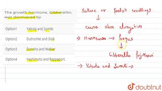 The growth hormone Gibberellin was discovered by [upl. by Assirahc]