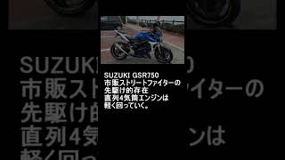 ELIMINATORA 250V GSR750他 [upl. by Nibbor2]