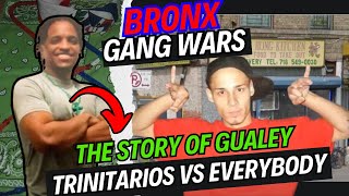 Bronx Gang War  quotGualeyquot amp The Trinitarios vs EVERYBODY DDP amp Bloods [upl. by Erleena]