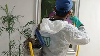 Pest Control and Fumigation in Islamabad Pakistan Дезинфекция помещений Исламабад Пакистан [upl. by Attenaej]