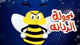 كليب نحوله الزنانه  حنان الطرايره  قناة كراميش Karameesh Tv [upl. by Jaycee929]