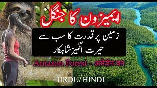 Amazon forest bigger than Pakistan and India  World Biggest Jungle in Urdu and Hindi [upl. by Bauske]