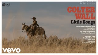 Colter Wall  Corralling the Blues Audio [upl. by Gorlicki337]