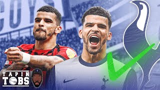 Solanke to Spurs is SERIOUS BUSINESS  Tobs Reacts [upl. by Lleynad]