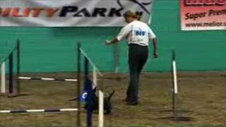 Scottie Flash Agility Training and at Swiss Championship 06 [upl. by Gonzalo]