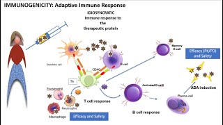 2022 Immunogenicity 101 how and when the immune system reacts to drugs [upl. by Jemine]