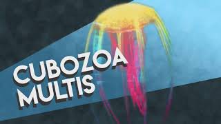 Cubozoa Multis ARK Survival Evolved Mobile [upl. by Bobseine]