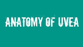 Ophthalmology Anatomy of uvea [upl. by Cantu]