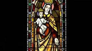 On This Day Our Lady of Mount Carmel [upl. by Kurth]