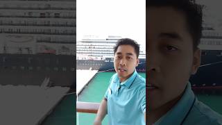 review of the Holland America Line Oosterdam cruise ship cruiseship shorts review fypシ [upl. by Ecertap326]