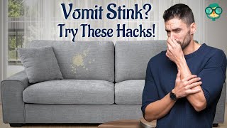 How to Get Vomit Smell Out of a Couch How do you get puke smell out of a couch [upl. by Nikkie]