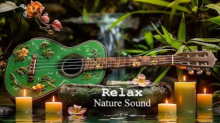 Relaxing Piano Music  Insomnia and Healing 🌿 Relaxing Music Sleep Music Meditation Nature Sound [upl. by Htederem]