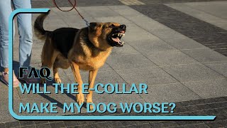 FAQ Will ECollar Make My Dogs Behavior Worse Or More Aggressive [upl. by Emily]