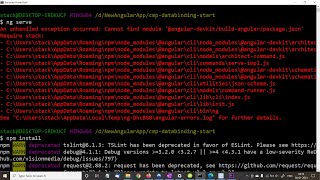 Cannot find module angulardevkitbuildangularpackagejson [upl. by Giuliana]