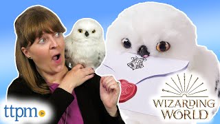 SECRET MESSAGE FROM HEDWIG😱 Wizarding World Harry Potter Enchanting Hedwig Review [upl. by Assenej179]