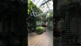 From horse stables to stunning daylight studio🌿 london studio renovation hometour plants [upl. by Proudman]