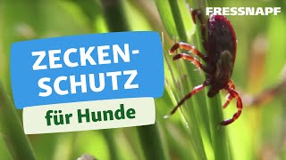 Zecken entfernen Hund  Gesundheit  FRESSNAPF [upl. by Ribaudo512]